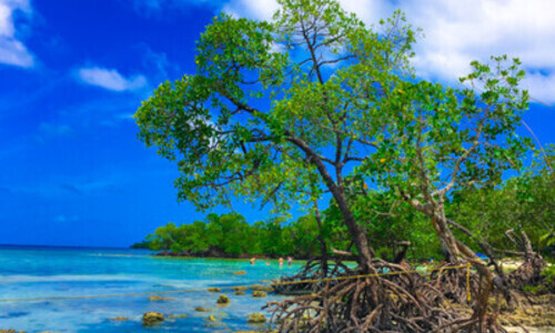 Adventure Andaman 2