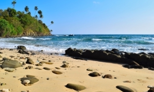 Distinctive Andaman