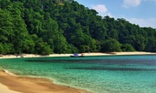 Appealing Andaman