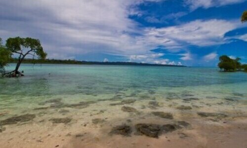 Splendid Andaman