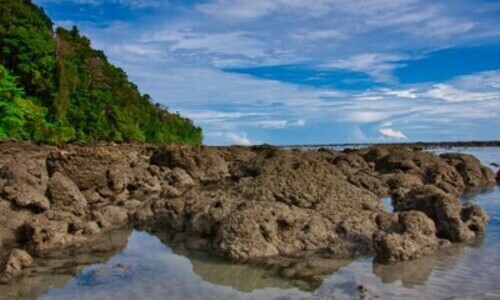 Remarkable Andaman