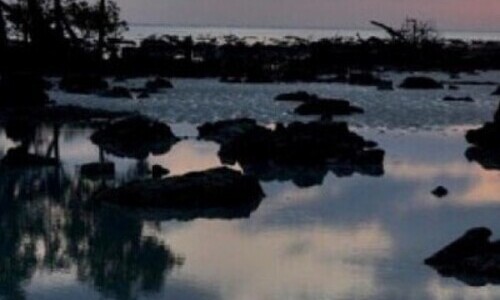 Captivating Andaman