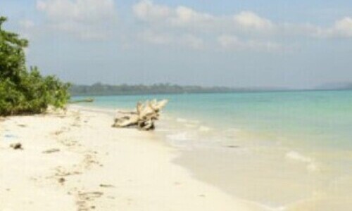 Compelling Andaman