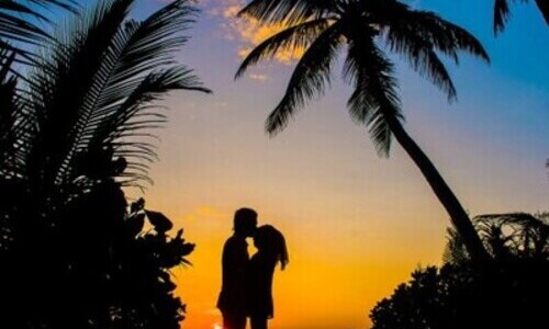Magical Honeymoon